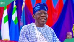 “We are trying to help Nigerians”: Tinubu’s govt discloses when students can repay their loans