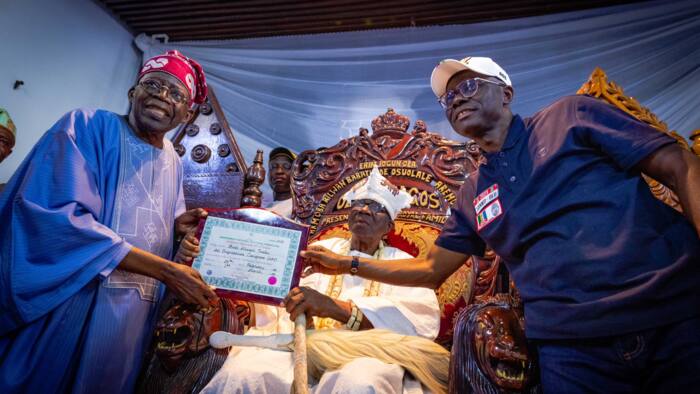 50 lawyers to defend Tinubu’s presidential victory: List of top 17 emerges