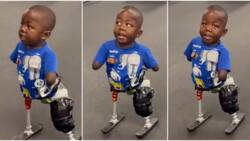"He is strong": Determined physically challenged boy learns to walk with prosthetics, video goes viral
