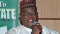 2023: North yet to pick consensus candidate, says Sule Lamido