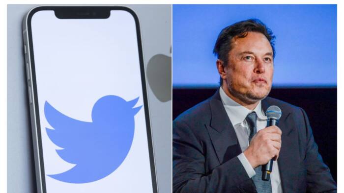 Apple may remove Twitter from app store, Elon Musk kicks