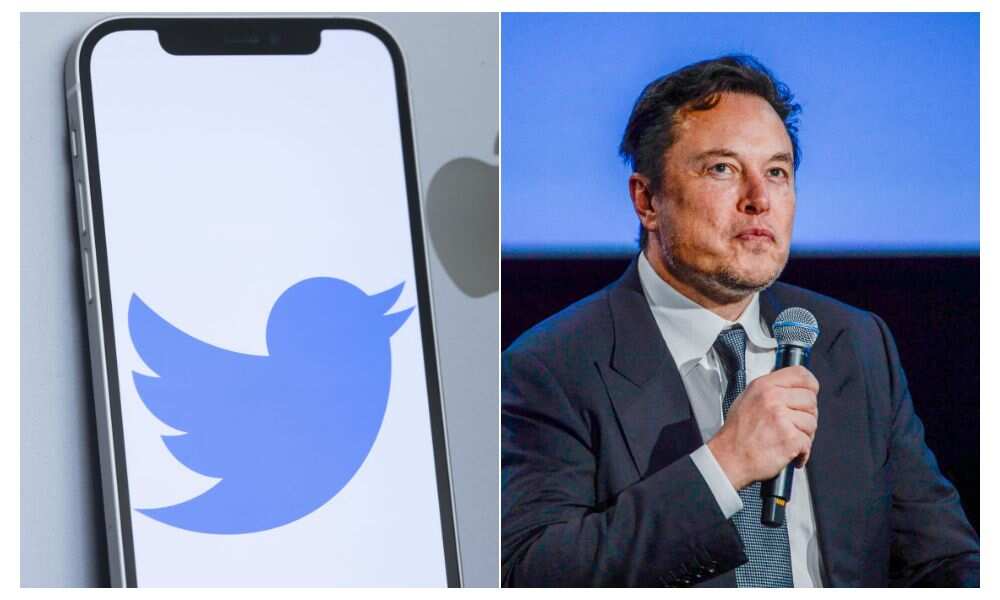 Apple, Twitter, Elon Musk