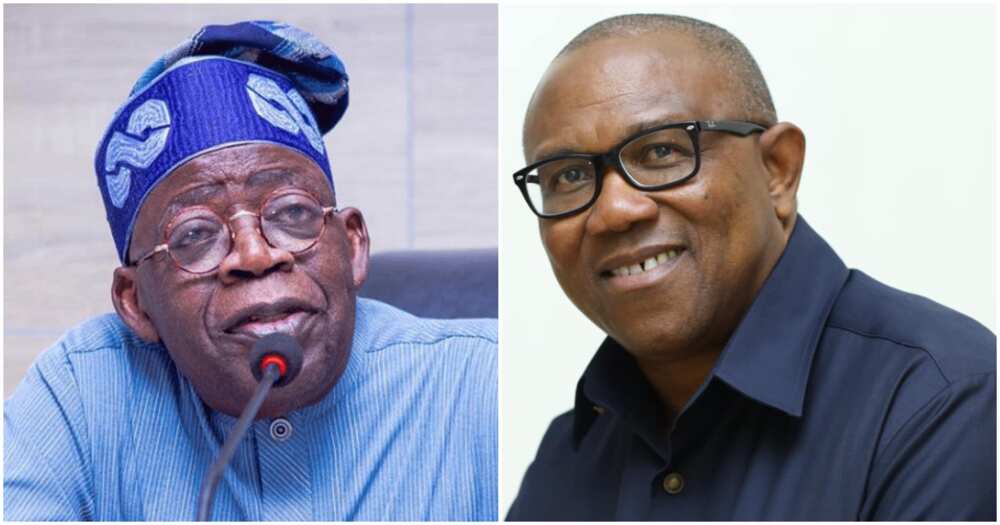 Bola Tinubu, Peter Obi, 2023 election, APC, Labour Party