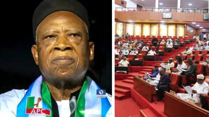 APC chairman gives fresh update on zoning of presiding officers of 10th National Assembly
