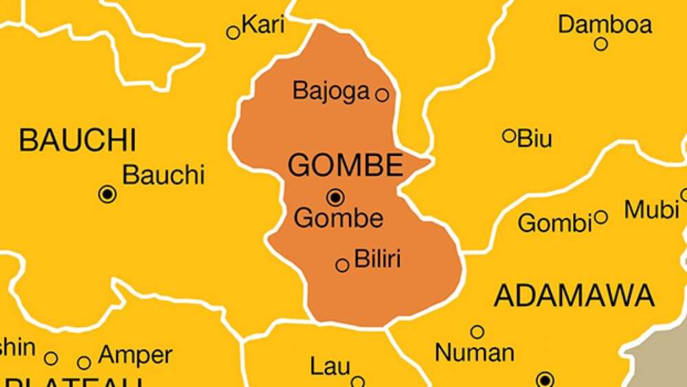Yadda aka kama masu rawar banjo a Gombe Yadda aka kama masu rawar banjo a Gombe