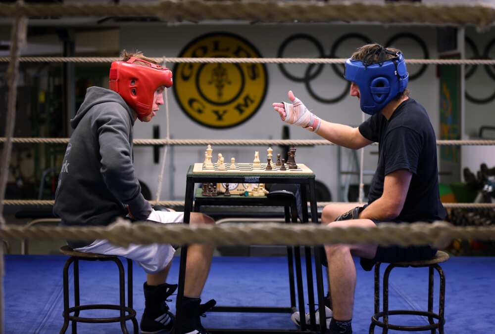 The Bizarre Sport of Chessboxing 