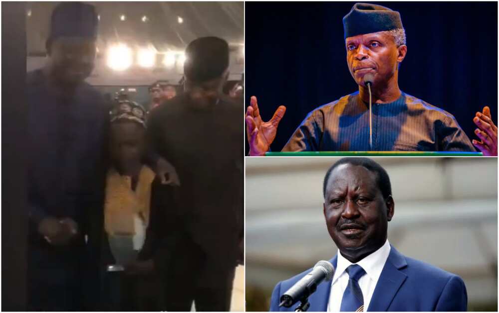 Musa Sani, Osinbajo, Odinga