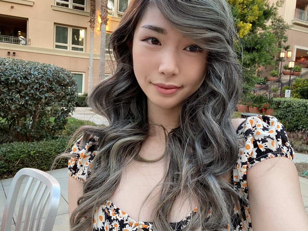 Tsm leena twitch