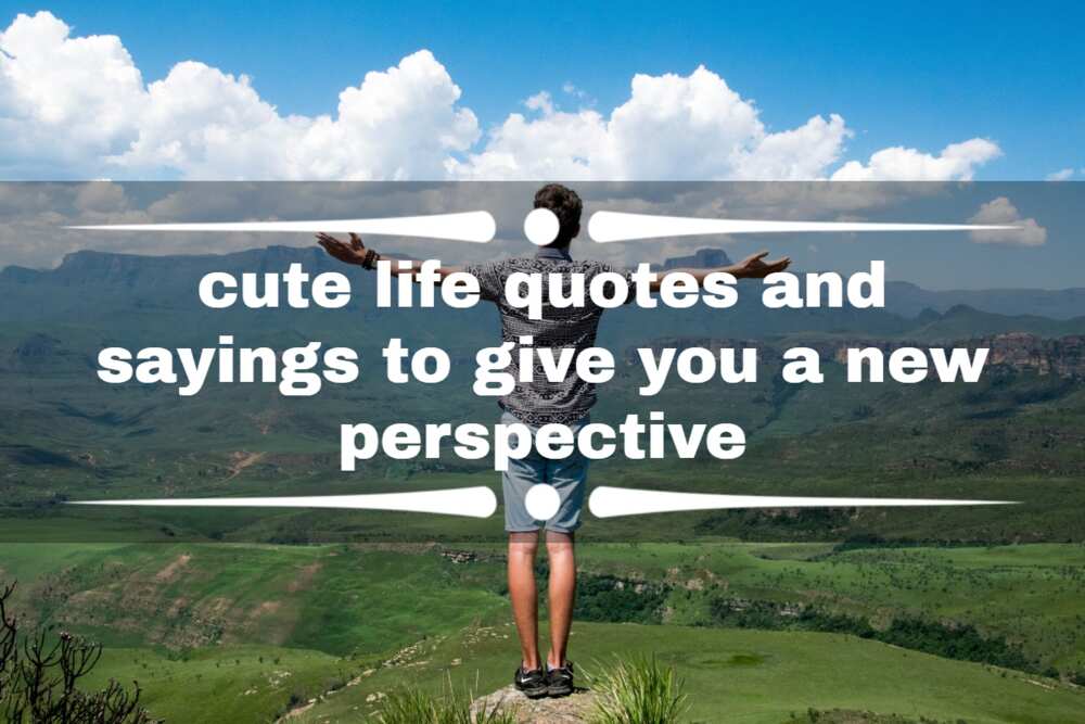 Cute life quotes