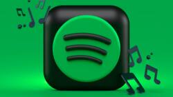 Can you see who likes your Spotify playlist? How to check