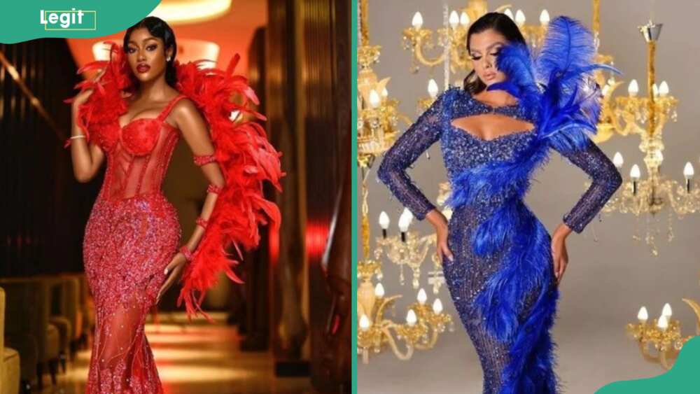 Red and blue Aso-Ebi extravaganza styles
