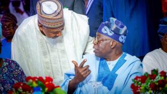 Cracks widen in APC over Tinubu few weeks to 2023 elections