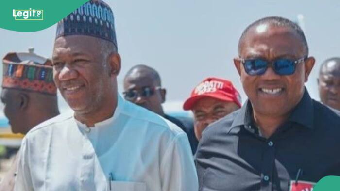 "Exercise in futility": Labour Party chieftain reveals why Peter Obi will lose at Supreme Court