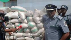 Truckload of beans detained by customs, set to auction to Nigerians amid food shortages