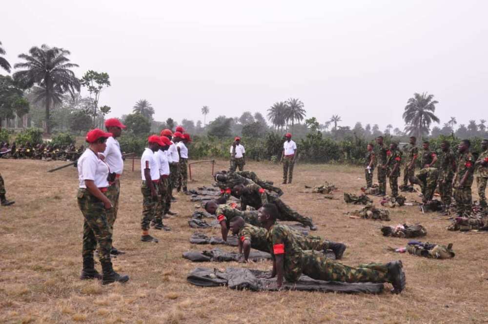 Start with Boko Haram, Retired police Officer Tells Nigerians Who Want to Face Russian Soldiers