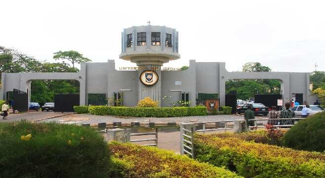 Breaking: University of Ibadan finally names Adebowale as 13th VC