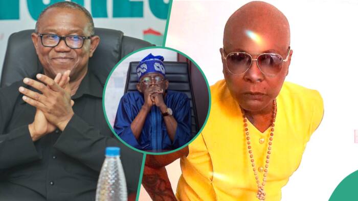 "We reject it": Charly Boy says Peter Obi’s supporters won’t accept rerun poll