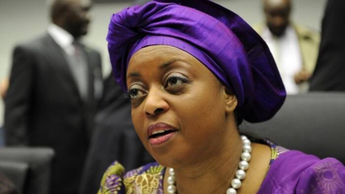 How I delivered $70m in 12 bags to Abuja banker on Diezani’s instructions - Ex-NNPC GM reveals