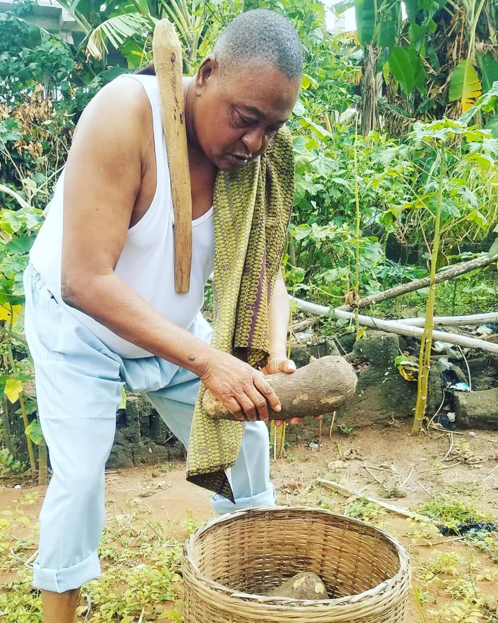 Jide Kosoko biography Jide Kosoko biography