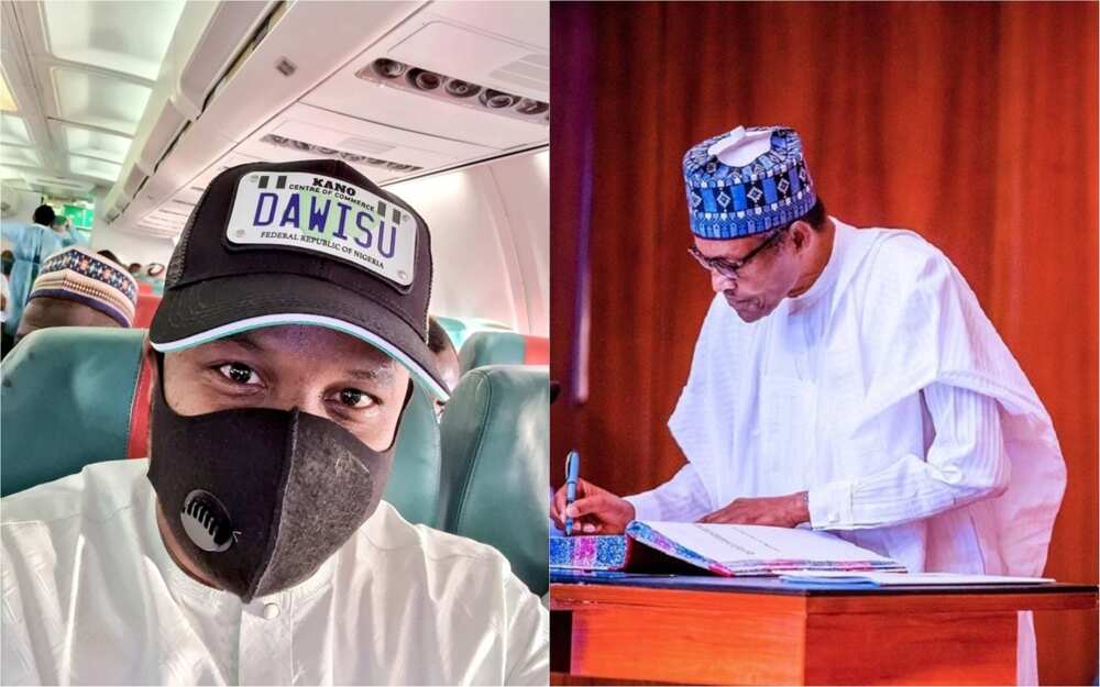 EndSARS: Dawisu, hadimin Ganduje, ya yi wa Buhari wankin babban bargo