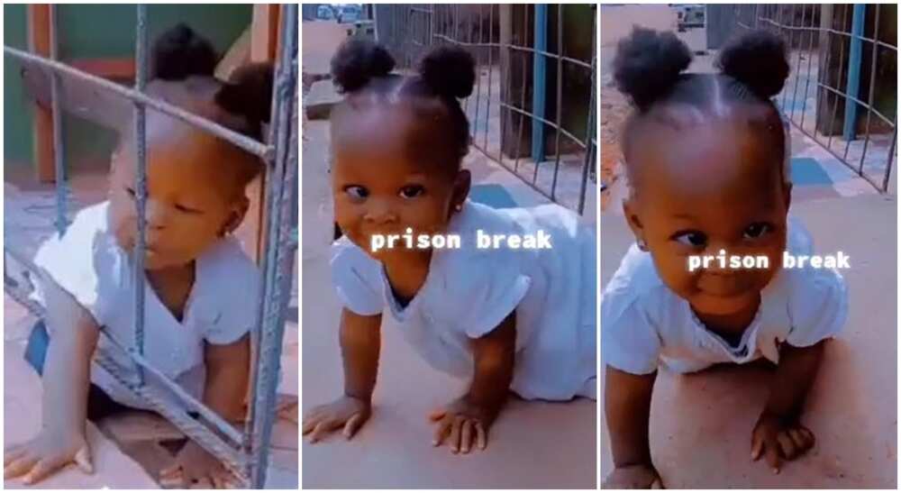 Photos of a baby trying to crawl out of iron bars.