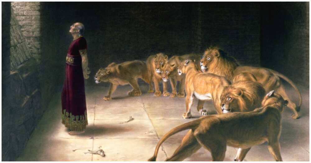 Prophet Daniel Abodunrin, University of Ibadan zoo in 1991, Nigerian prophet eaten by lions in 1991