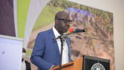 Alleged forgery: Anxiety as forensic document examiner reveals 2 key errors in Obaseki's certificate