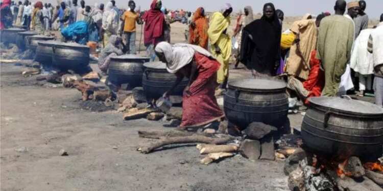FG za ta gina wa 'yan gudun hijira gidaje 500 a jihohin Zamfara, Katsina, Borno da Adamawa