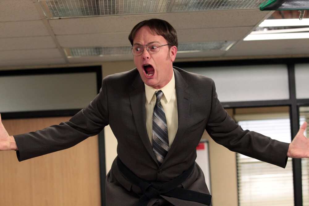 dwight schrute the office funny