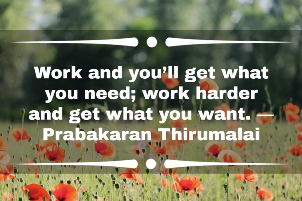 140+ Inspiring Tuesday Motivation Quotes for Work & Daily Life