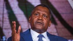 Aliko Dangote Ya Tafka Asarar Fiye Da Naira Biliyan 480 A Cikin Sa’o’i 24, Arzikinsa Ya Yi Kasa