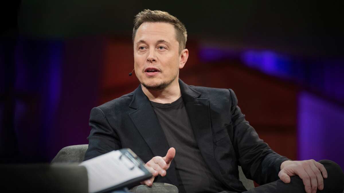 Elon Musk says college is basically for fun but not for learning - Legit.ng