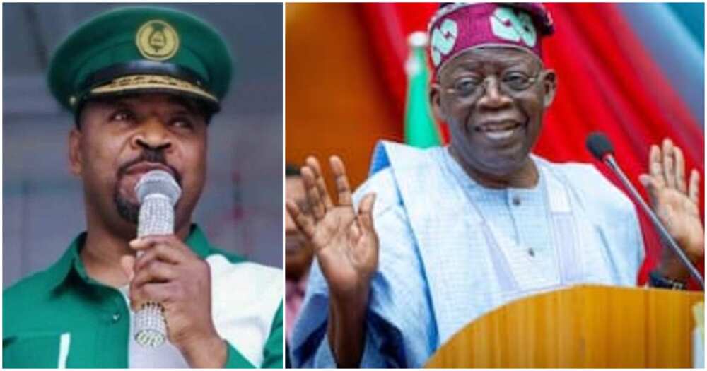 APC primaries, MC Oluomo, Bola Tinubu