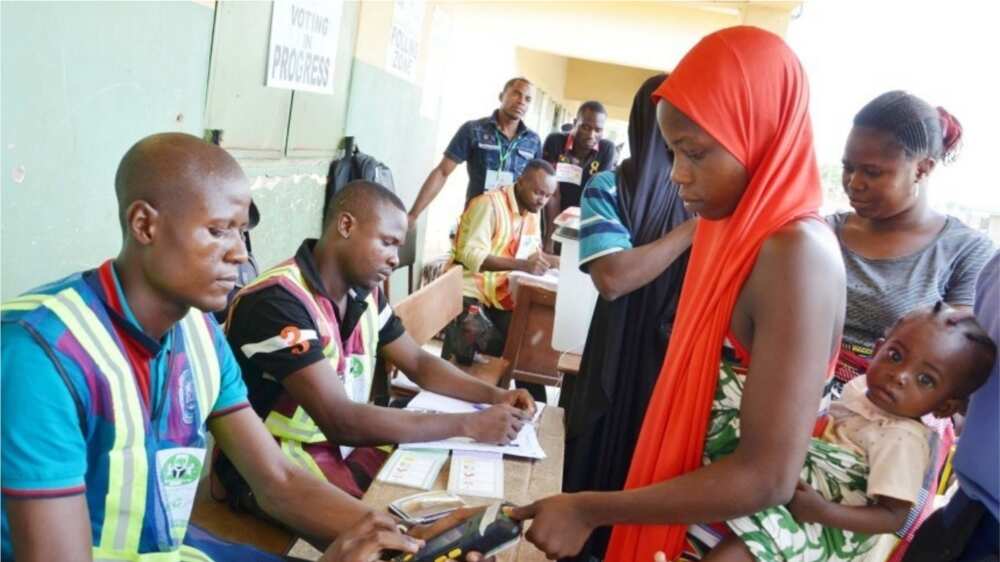 voting voting