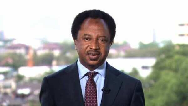 Sanata Shehu Sani