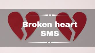 120+ broken heart SMS and quotes for the recently heartbroken