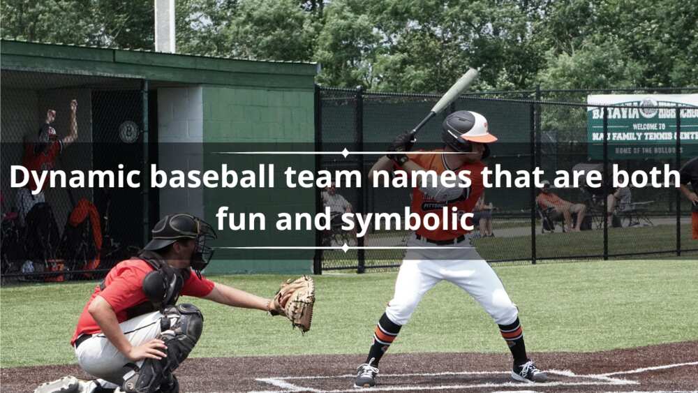 Dynamic baseball team names