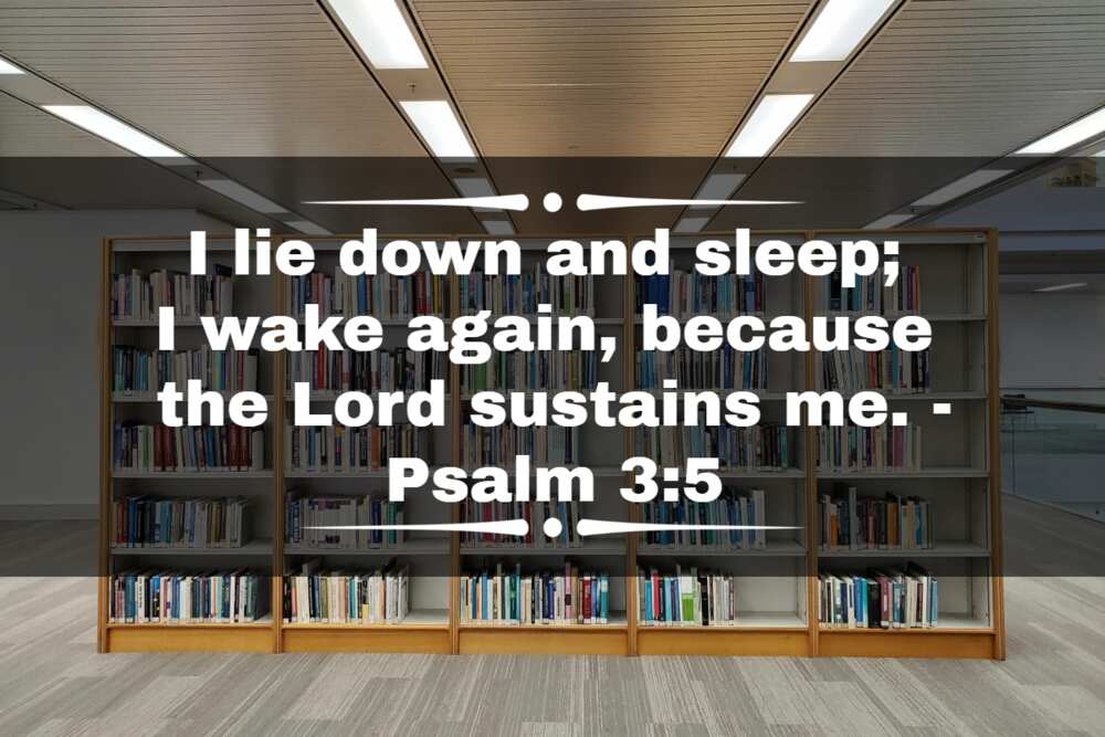 bible verses for success in exams bible verses for success in exams