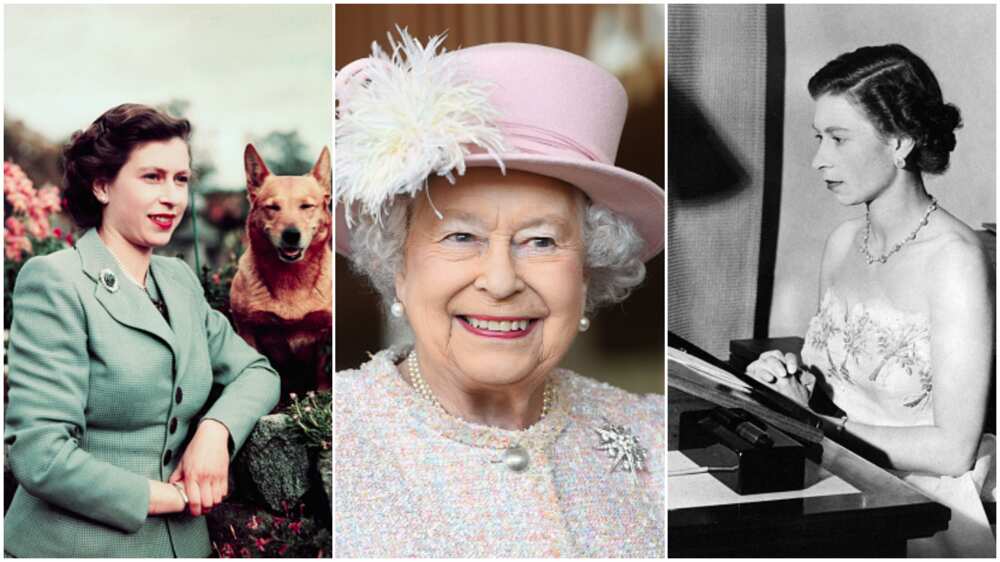 Queen Elizabeth loves dogs and horses/the queen had paid Germany a historic visit.
