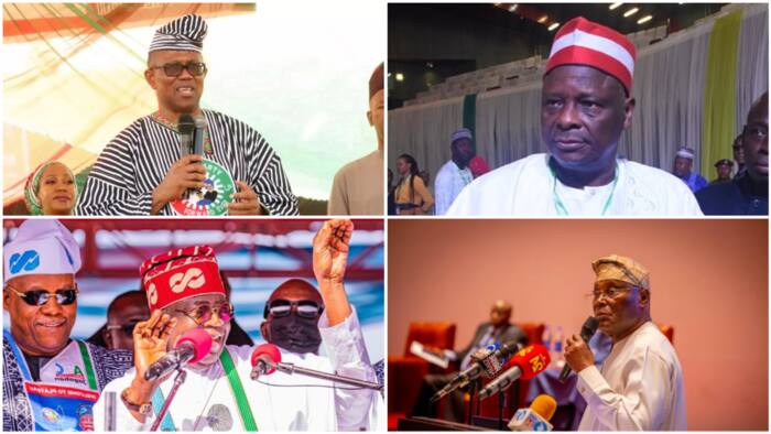 Tinubu, Atiku, Obi, Kwankwaso: Why presidential candidates pay attention to north than south during campaigns