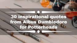 30 inspirational quotes from Albus Dumbledore for Potterheads