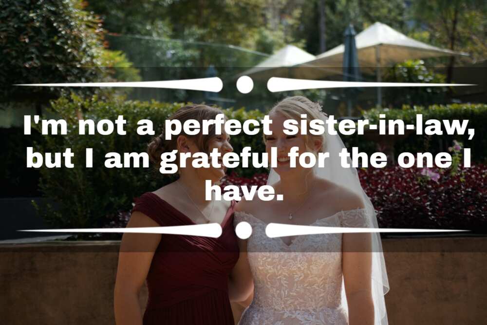 Cute messages for sister-in-law
