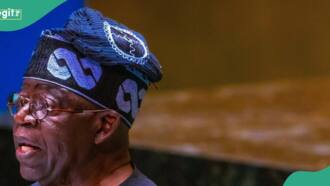 What Tinubu needs to focus on apart from economy, Tope Fasua speaks