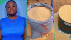 "I bought one bushel of rice for N3,000": Lady discovers rural village in Enugu where rice is cheap