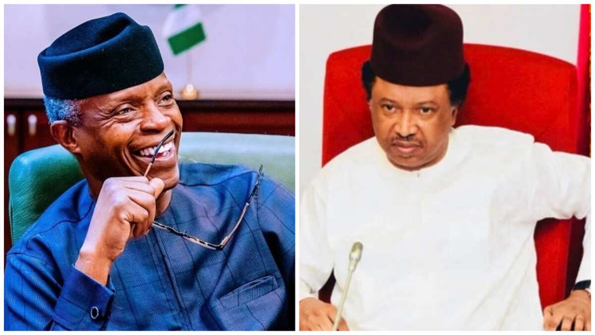 Osinbajo's declaration: Why I don't run politics of 'godfatherism', Shehu Sani reveals