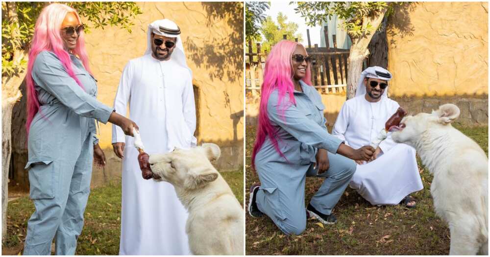 DJ Cuppy pays a visit to pet lion cub named after her in Dubai
