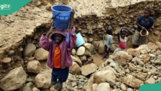 Child labour: List of 10 states with worst rates in Nigeria emerges