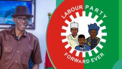 "Personal interest": Six Labour Party members in Enugu House of Assembly defect to PDP