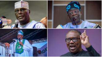 Atiku, Tinubu or Obi? Lagos Traders reveal preferred presidential candidate they will vote for and why
