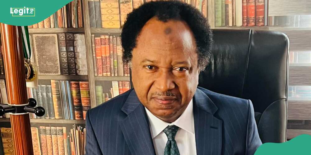 Abuja kidnapping: Shehu Sani reveals reasons for increasing crime Rate in FCT